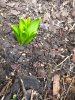 20220122_101801.jpg