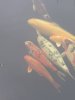 20220125_110543.jpg