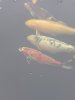 20220125_110256.jpg