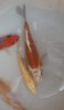 Screenshot_20220127-081440_Facebook.jpg