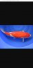 02_Screenshot_20220219-071934_Gallery.jpg