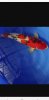 06_Screenshot_20220219-071840_Gallery.jpg