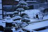 _DSC6521.jpg