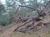 IMG-20220222-WA0006.jpg