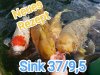 IMG_20220306_153512.jpg