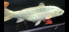 2EC14992-9E81-414E-8C01-5E2F04D3F4D9.png