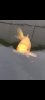 Screenshot_20220313-194727_Gallery.jpg