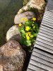 20220407_084629.jpg