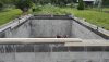 IMG-20210819-WA0000.jpeg
