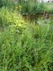 20210720_191227.jpg