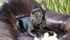 20160218_150315_resized.jpg