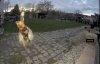 224682F8-837D-4B4E-BB60-457F4B54B00F.jpeg