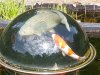 20180429_155341_resized.jpg