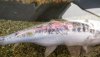 IMG_20220602_190104.jpg