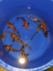 20220120_032825.jpg