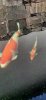 20220524_170330_resized.jpg