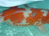 DSC00736.JPG