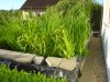 DSC00787.JPG