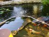 DSC00786.JPG