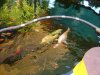 DSC00785.JPG