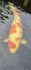 Screenshot_20220718-133352_Gallery.jpg