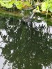 20220804_183840.jpg