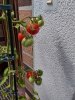 20220808_155339.jpg