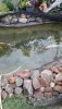 ff8d516f-41f0-4c55-a382-e984dd8a54f6.jpg