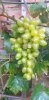 20220816_180834.jpg