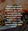 wespen im garten.png
