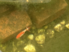 tempImageUslXcy.png tempImageUslXcy.png