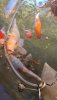 VideoCapture_20221118-141835.jpg