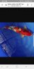 Screenshot_20221220-202912_Gallery.jpg