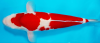 1671614373973.png