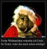 ac8e1fc2ad5125c54796fcd153151850.jpg
