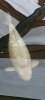Screenshot_20221222_124510_Gallery.jpg