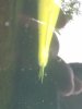 IMG_20190427_131217.jpg