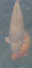 20230320_142932.jpg