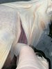 IMG-20230330-WA0013.jpg