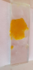 1680410085173.png