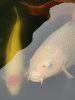 IMG_20230408_163651.jpg