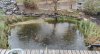 IMG-20230416-WA0001.jpg