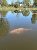 IMG_9435.jpeg