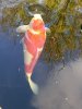 IMG-20230505-WA0010.jpg