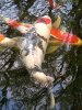 IMG-20230506-WA0021.jpg