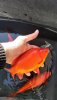 P_20230411_171619.jpg
