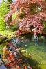 IMG-20230520-WA0014.jpg