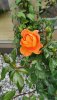 IMG-20230527-WA0004.jpeg