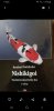 Screenshot_20230608-142529_Gallery.jpg