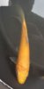 20230608_162809.jpg
